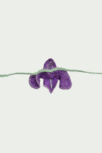 Choker Iris